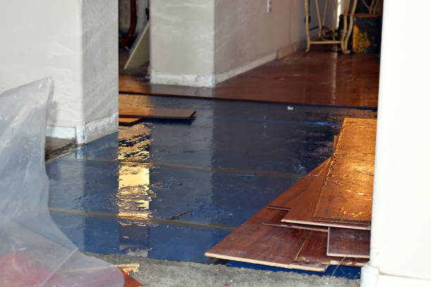 Professional Basement Flooding technician working in Lexington, MO